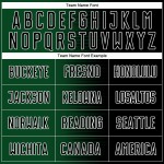 Benutzerdefinierte schwarz grün-weiß Gradienten Linie Sublimation Fußball Uniform Trikot Benutzerdefinierte schwarz grün-weiß Gradienten Linie Sublimation Fußball Uniform Trikot